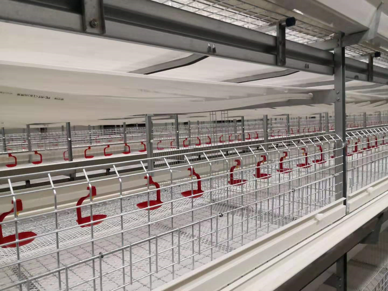 Popular Broiler Cage Duck Cage System