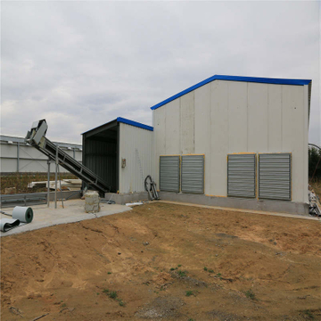 Sought-after Efficient Livestock Farming House And Equipment