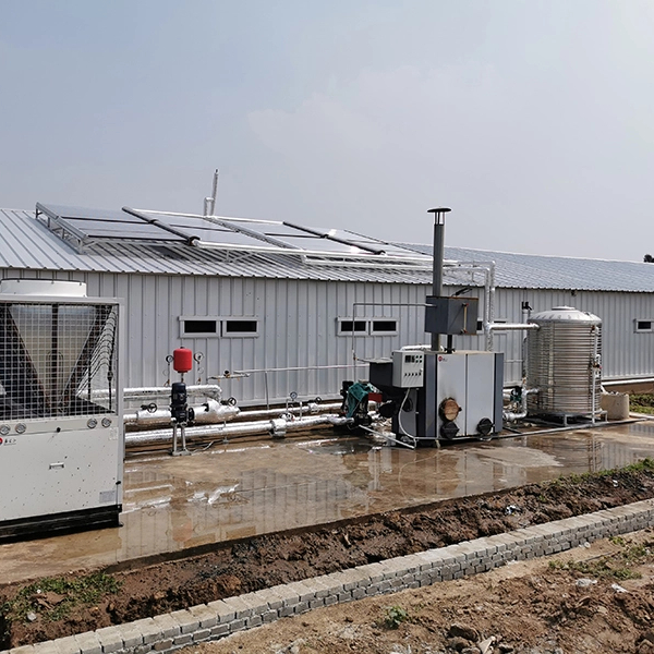 Prefabricated High Quality Livestock Farming House Poultry Farm