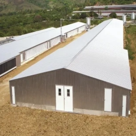 Steel Structure Pre-Engineered Chicken Coop Livestock Farming House