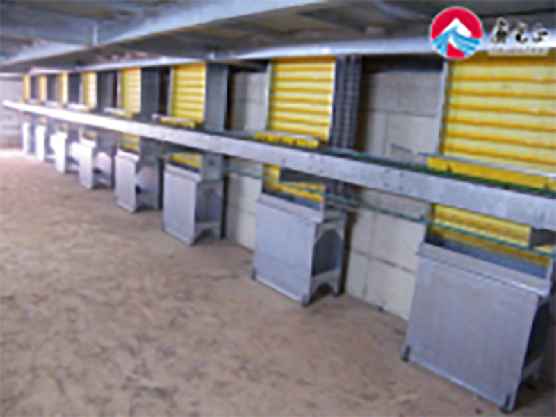 Broiler Chicken Poultry Farm