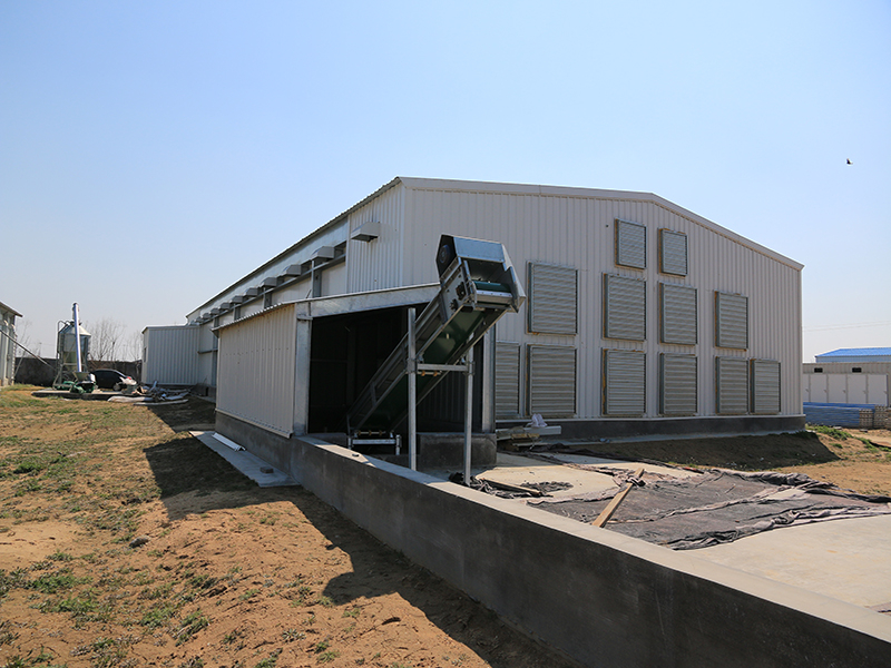 Prefabricated High Quality Livestock Farming House Poultry Farm