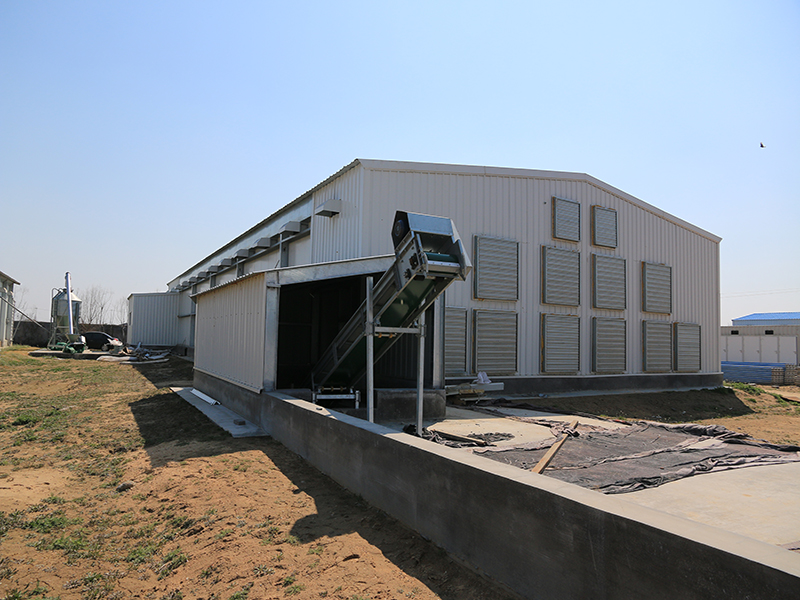 Prefabricated High Quality Livestock Farming House Poultry Farm
