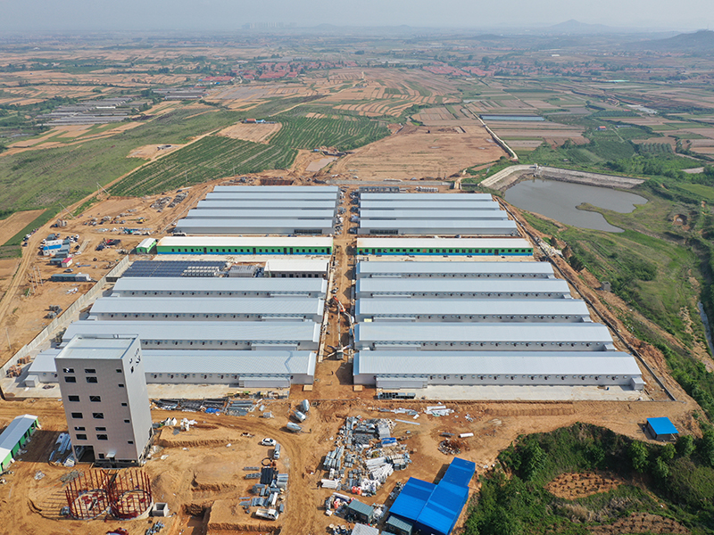 Livestock Farming House Poultry Farm