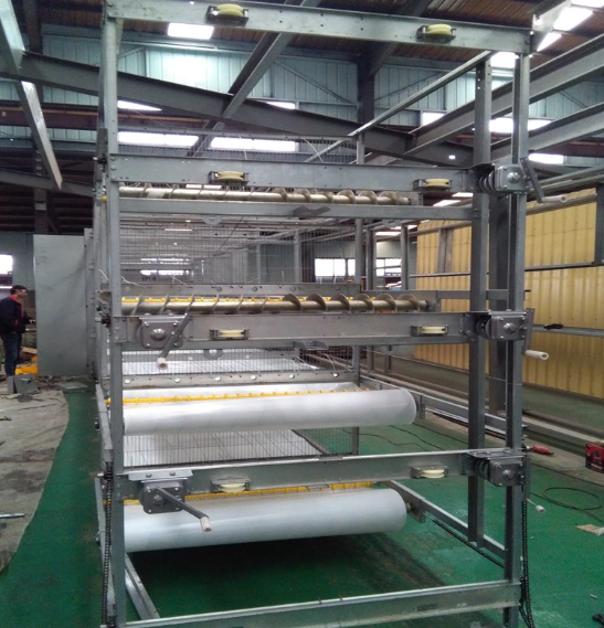 Type H Laying Hens Breeding Automatic Cage Equipment