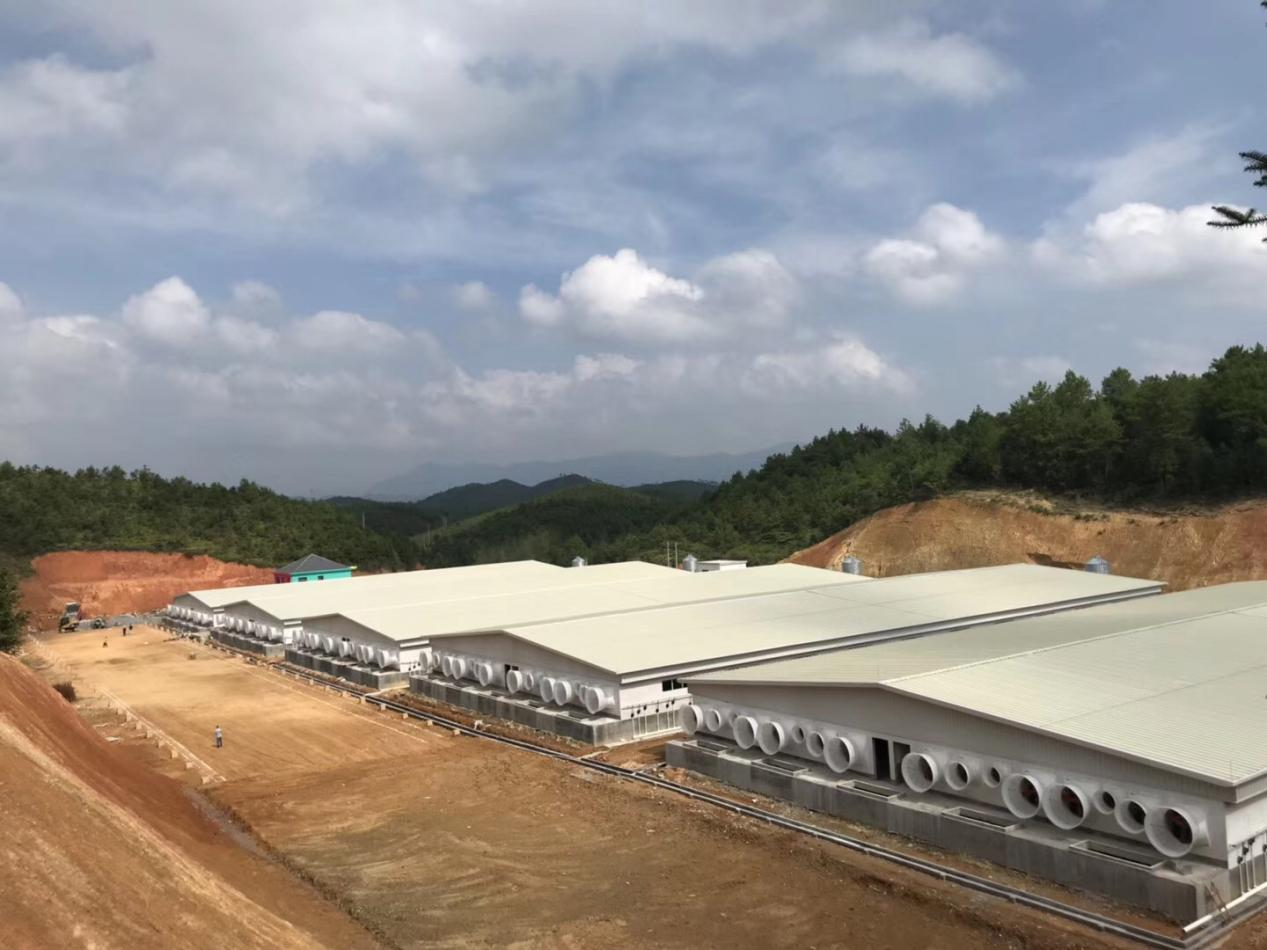 Practical And Beautiful Livestock Farming House in China