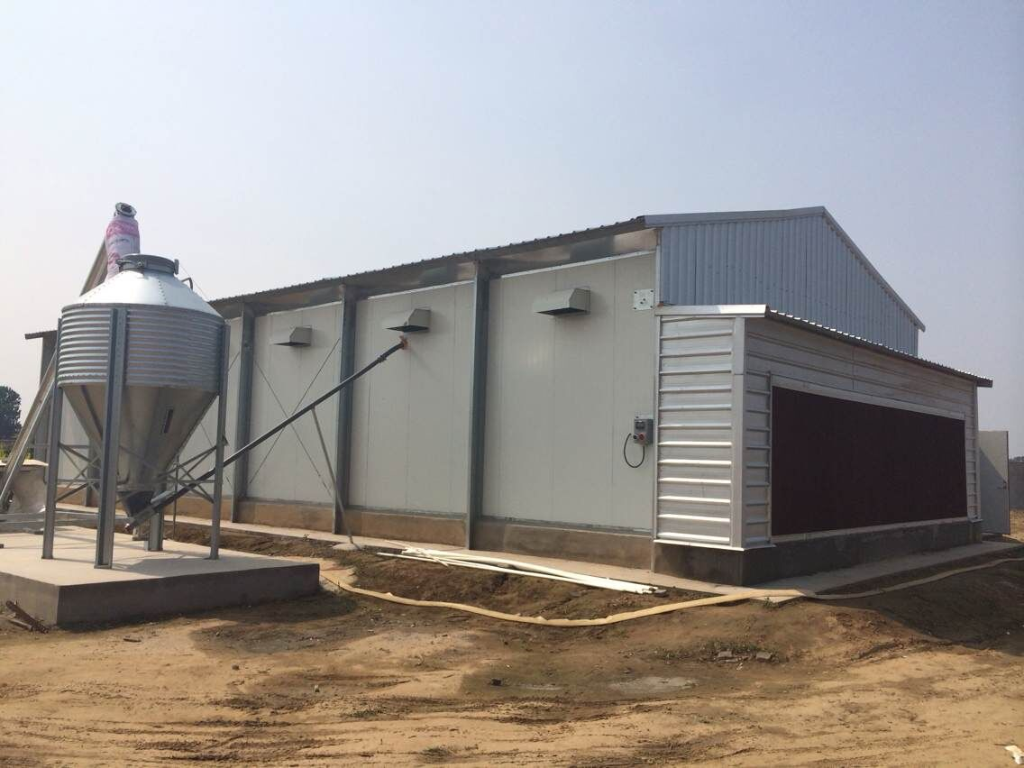  Livestock Farming House 