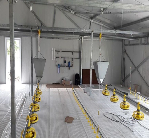 Automatic Equipment Steel Structure for Livestock Farming House