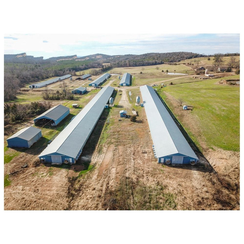 Livestock Farming House