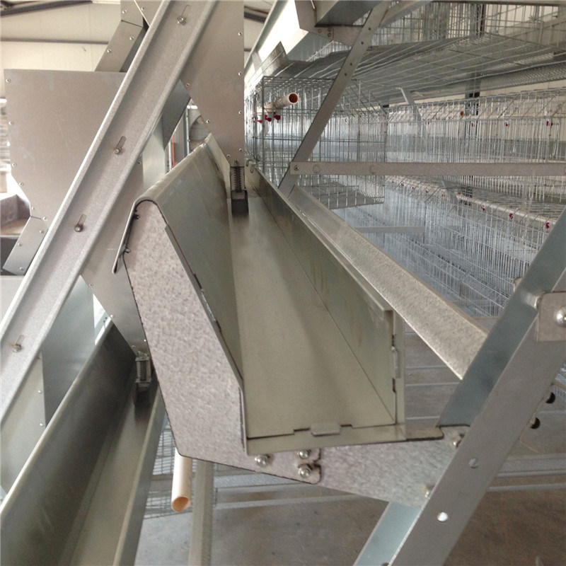 a-Type Cage Egg Breeding with Automatic Machine System