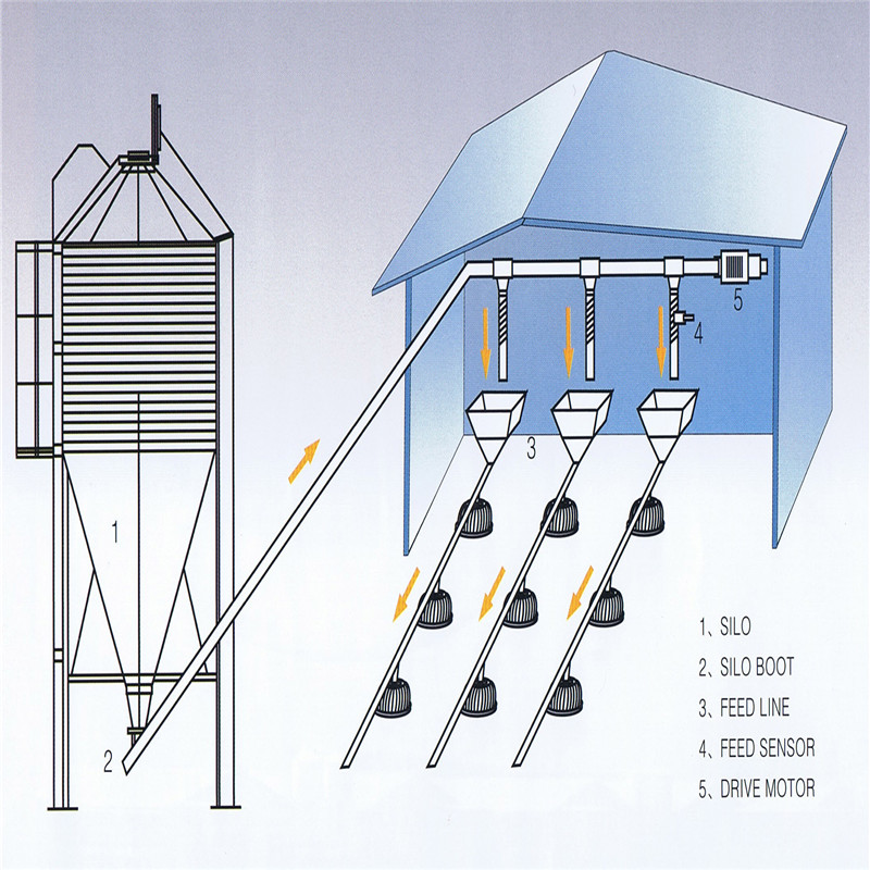 Feed system