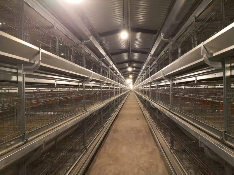 Popular Broiler Cage Duck Cage System