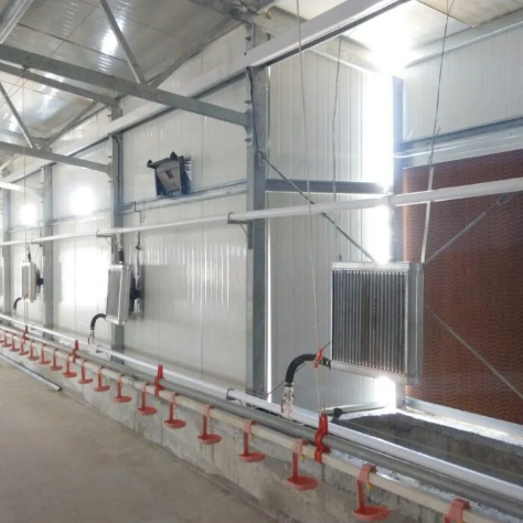 Broiler Poultry Farm Husbandry Chicken Feeding Line Equipment