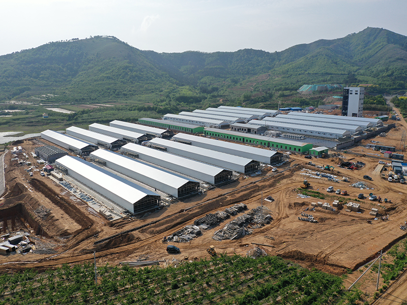 Livestock Farming House Poultry Farm