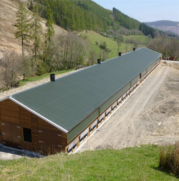 Steel Livestock Farming House Poultry Chicken Shed