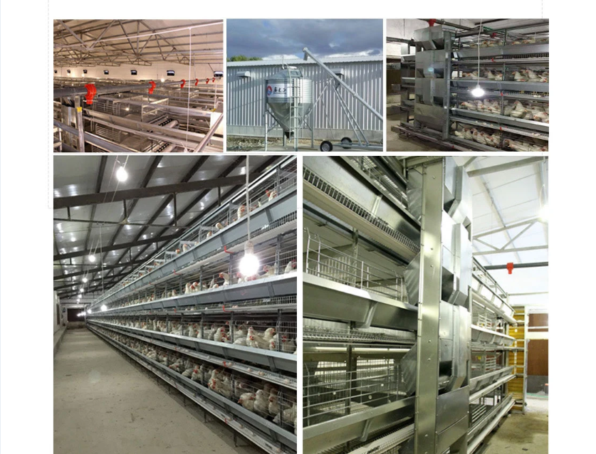 QQ图片20220602151139