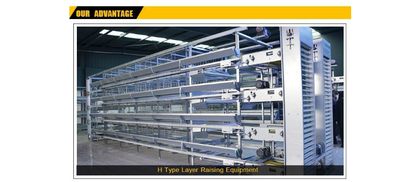 QQ图片20220602150959