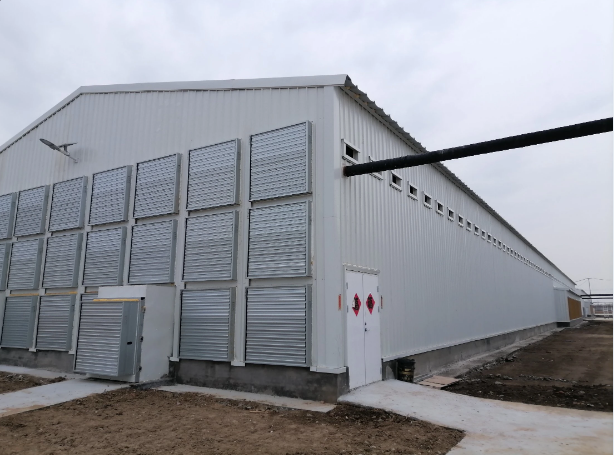 Steel Structure Pre-Engineered Chicken Coop Livestock Farming House