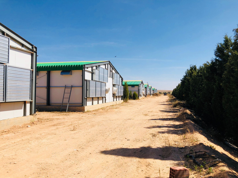 Chicken House in Algeria