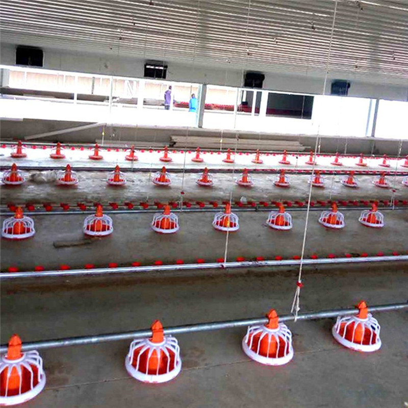 broiler flat raising equipment