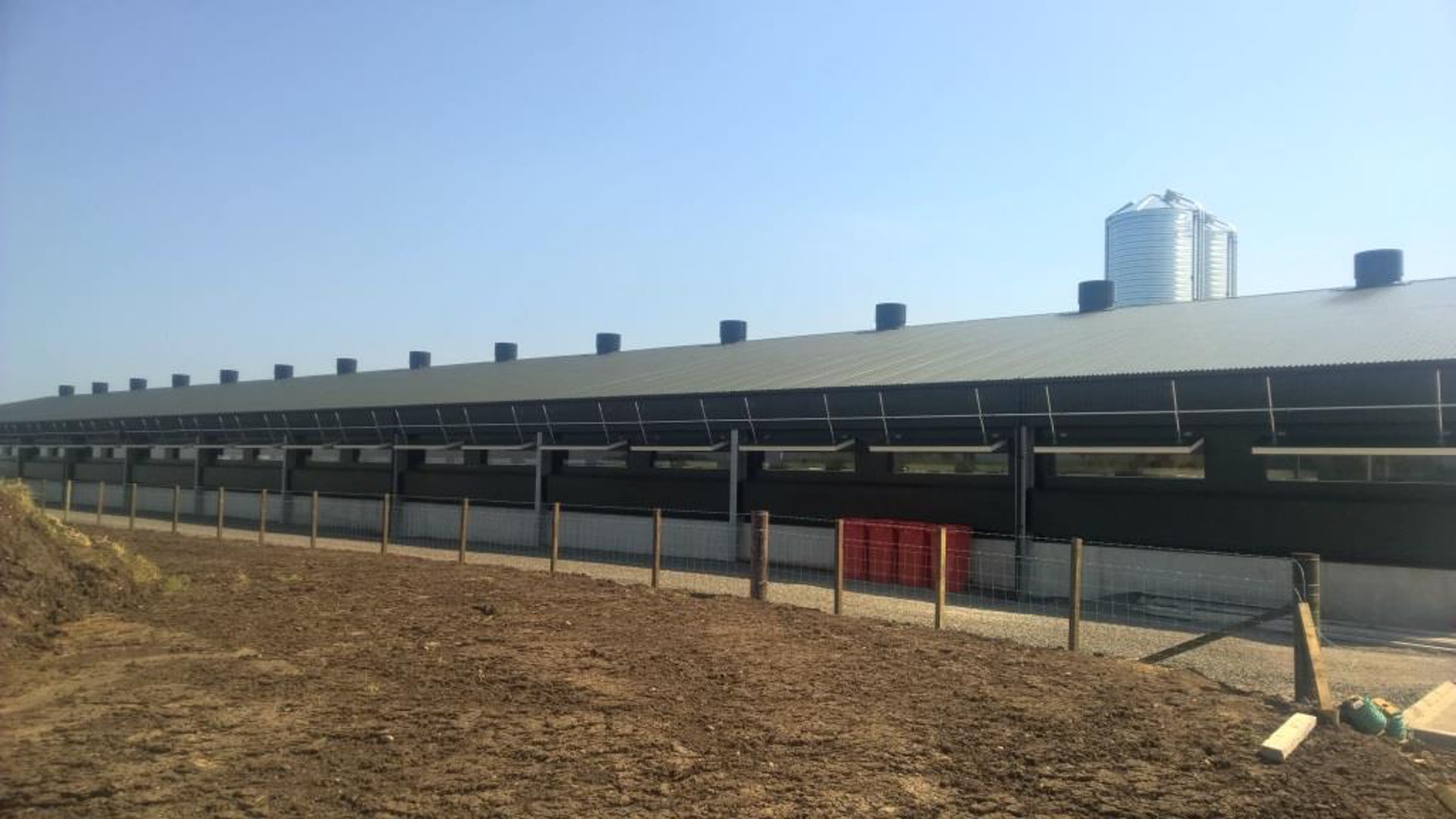 Prefabricated Steel Structure Livestock Farming House Farm Cowshed