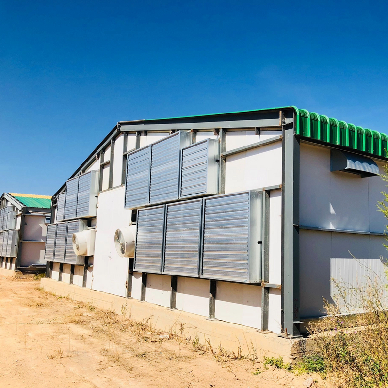 Chicken House in Algeria