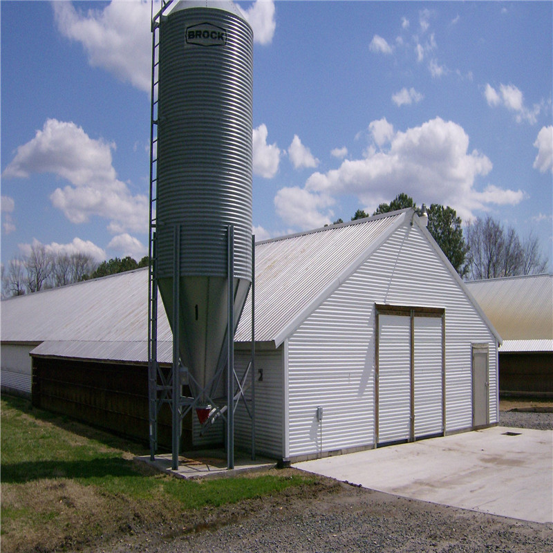 chicken poultry house 